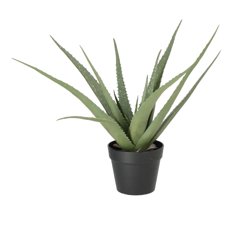 Kunstig aloe plante H: 62 cm.