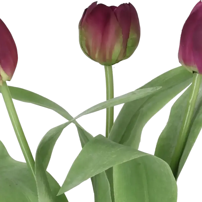 Closeup af Kunstig tulipan mørklilla mix L: 36 cm.
