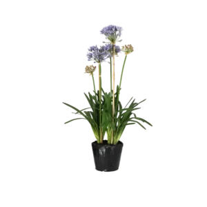 Kunstig Agapanthus blå - H: 85 cm.
