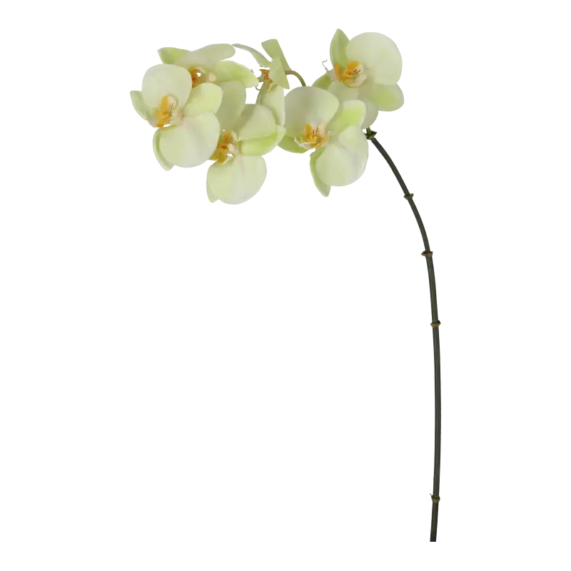 Kunstig orkide lime - H: 55 cm.
