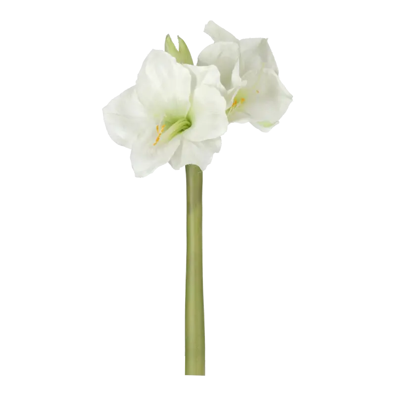 Kunstig Amaryllis hvid - L: 50 cm.