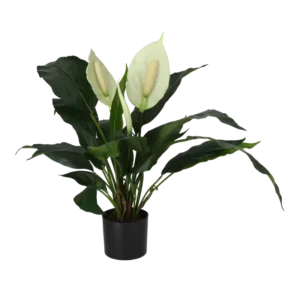 Kunstig fredslilje - H: 53 cm.