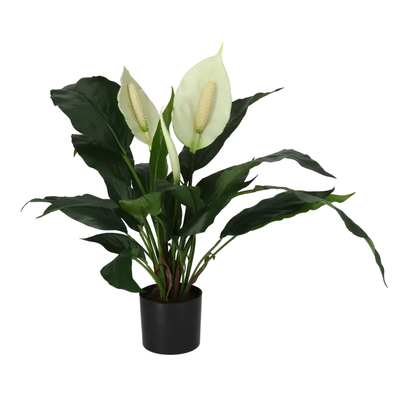 Kunstig fredslilje - H: 53 cm.