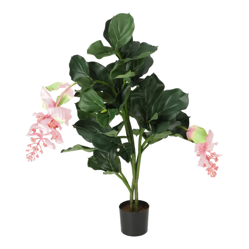 Kunstig Medinilla Magnifica - H: 62 cm.