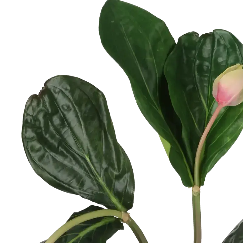 Closeup af Kunstig medinilla magnifica stilk L: 80 cm.
