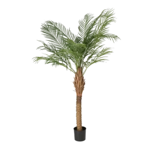 Kunstig Phöenix Palme - H: 150 cm.
