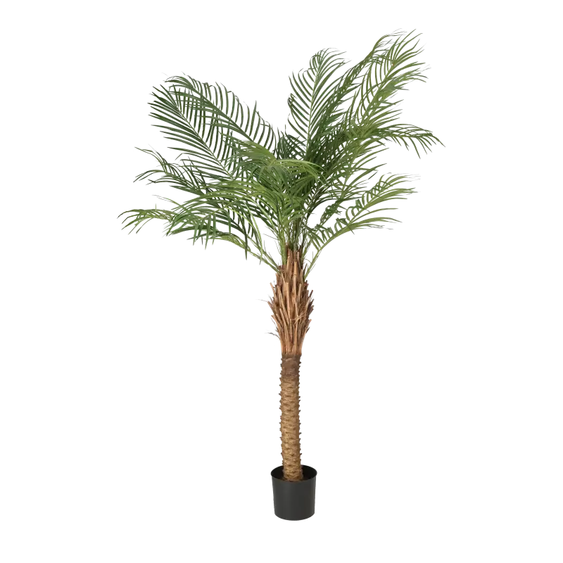 Kunstig Phöenix Palme - H: 150 cm.