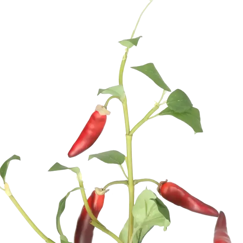 Closeup af Kunstig chili stilk L: 50 cm.