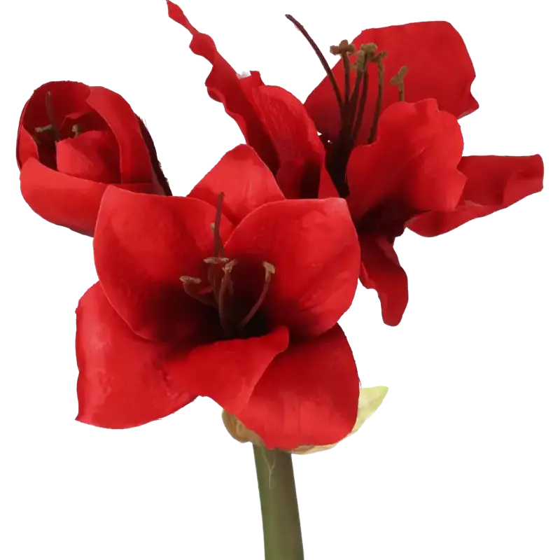 Closeup af Kunstig Amaryllis rød L: 50 cm.