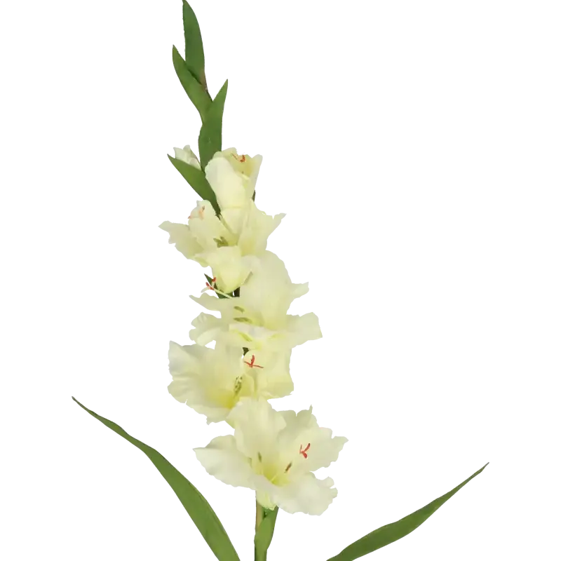Closeup af Kunstig gladiolus stilk creme L: 75 cm.