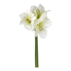 Kunstig Amaryllis stilk i creme - L: 60 cm.
