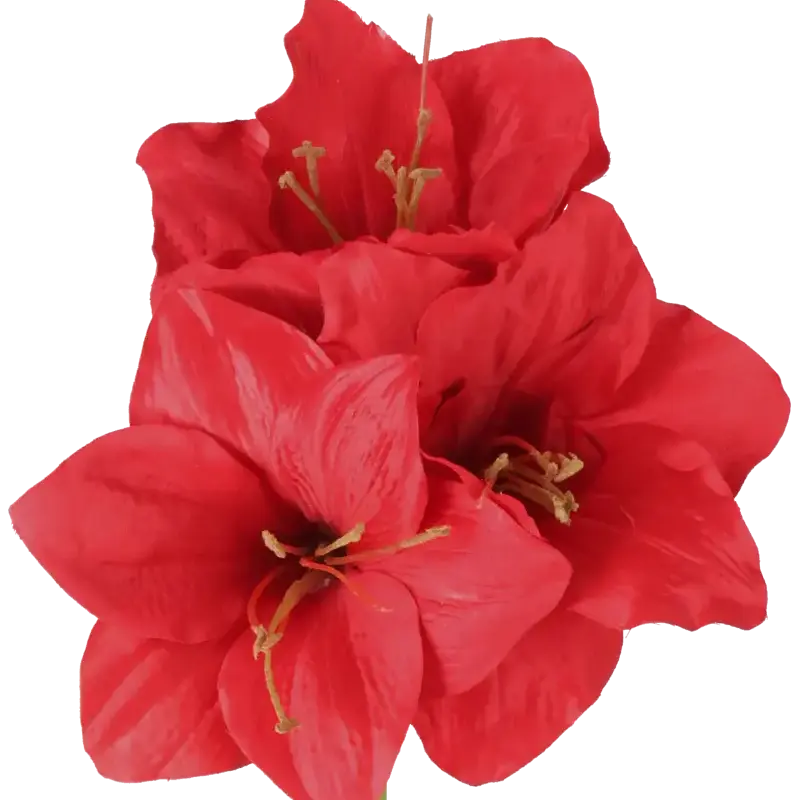 Closeup af Kunstig Amaryllis stilk i rød L: 60 cm.