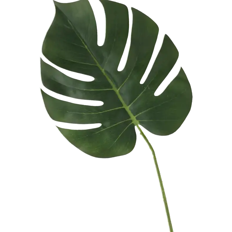 Closeup af Kunstig monstera blad L: 99 cm.