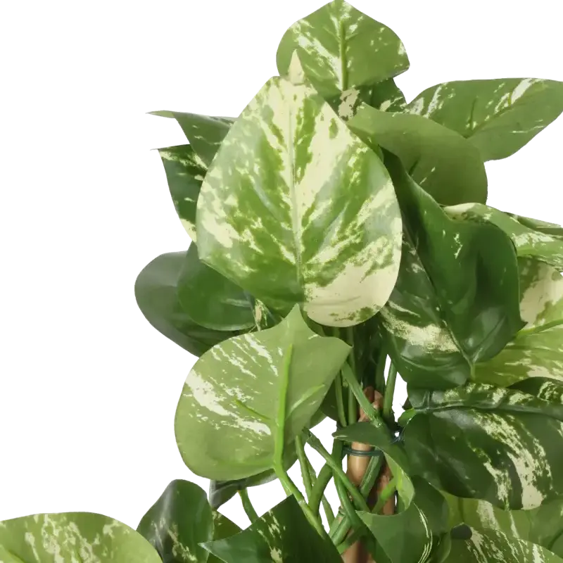 Closeup af Kunstig pothos busk H: 42 cm.