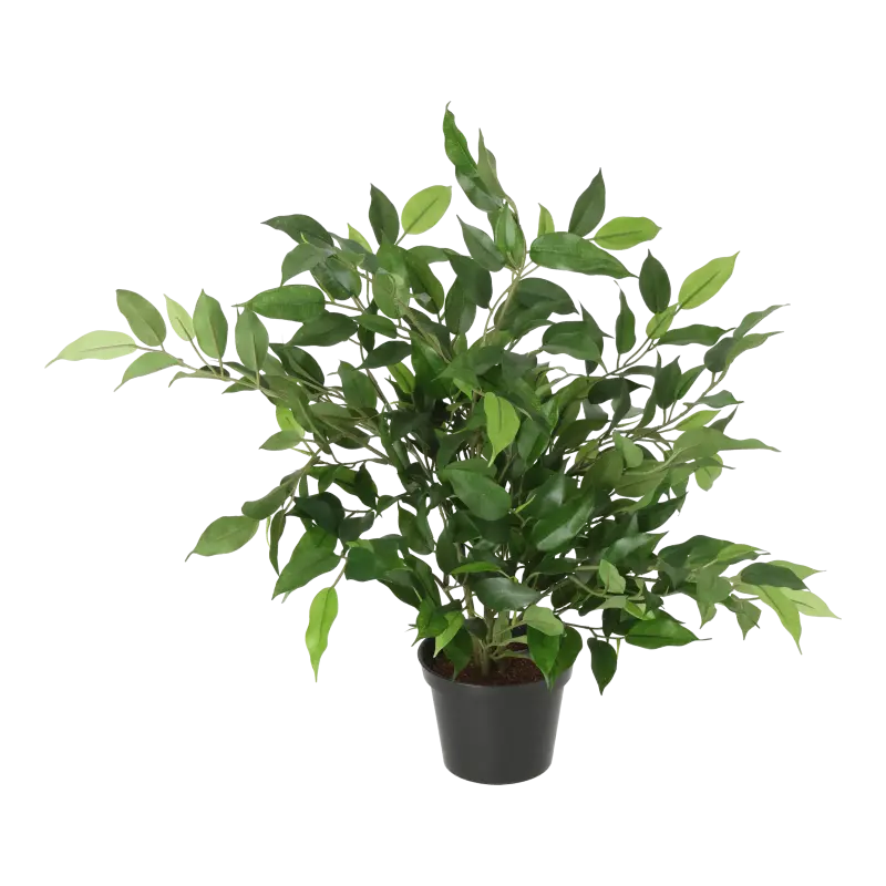 Kunstig grøn Ficus natasja - H: 31 cm.