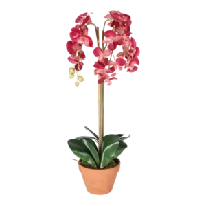 Kunstig orkidé cerise - H: 75 cm.