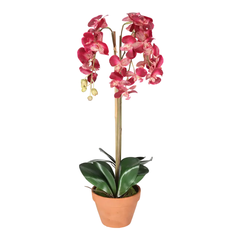Kunstig orkidé cerise - H: 75 cm.