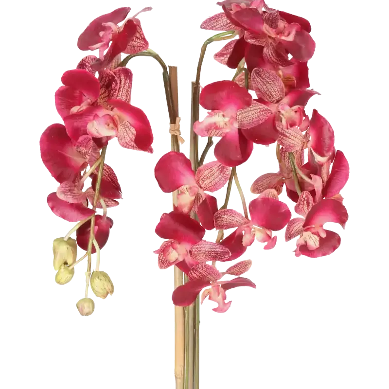 Closeup af Kunstig orkidé cerise H: 75 cm.