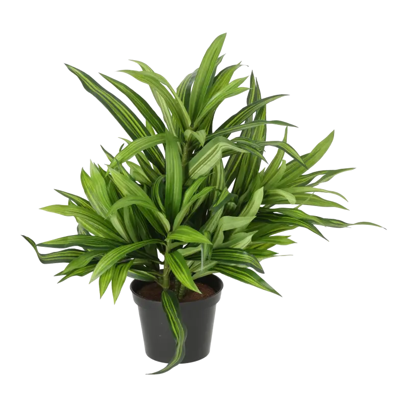 Kunstig dracena plante - H: 34 cm.