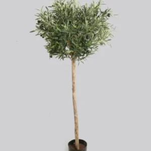Kunstig Oliventræ H: 140 cm.