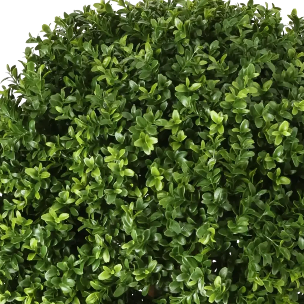 Closeup af Kunstig Buksbom kugle Ø: 60 cm.
