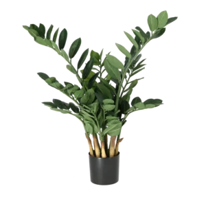Kunstig Zamifolia H: 66 cm.