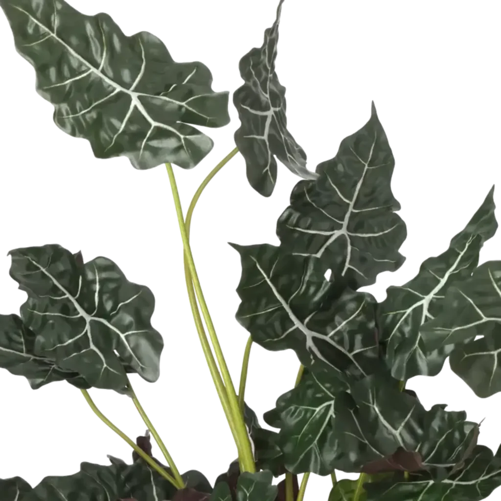 Closeup af Kunstig Alocasia H: 110 cm.