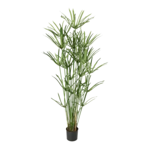 Kunstig Royal Papyrus H: 155 cm.