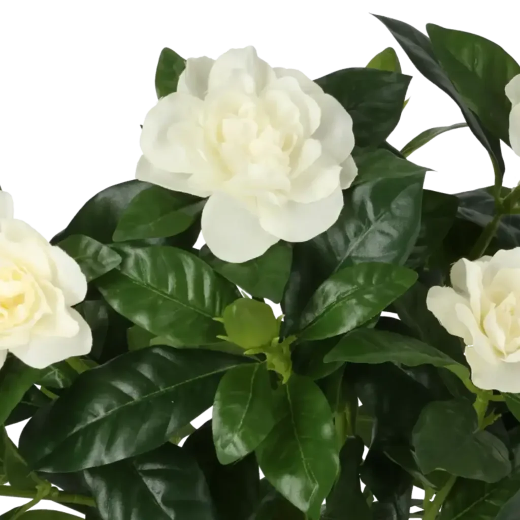 Closeup af Kunstig Gardenia H: 32 cm.