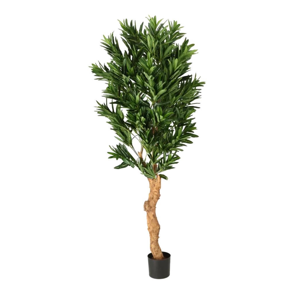 Kunstig Croton H: 180 cm.