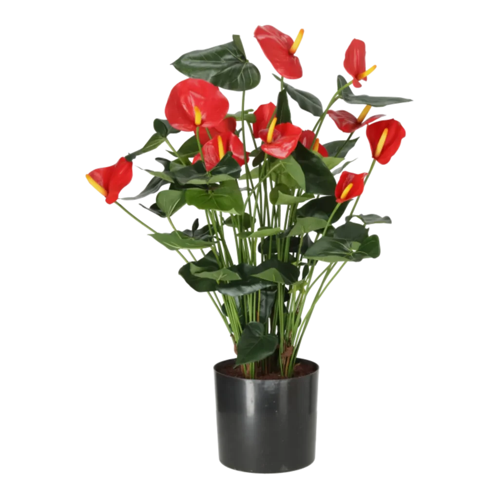 Kunstig Anthurium H: 85 cm.