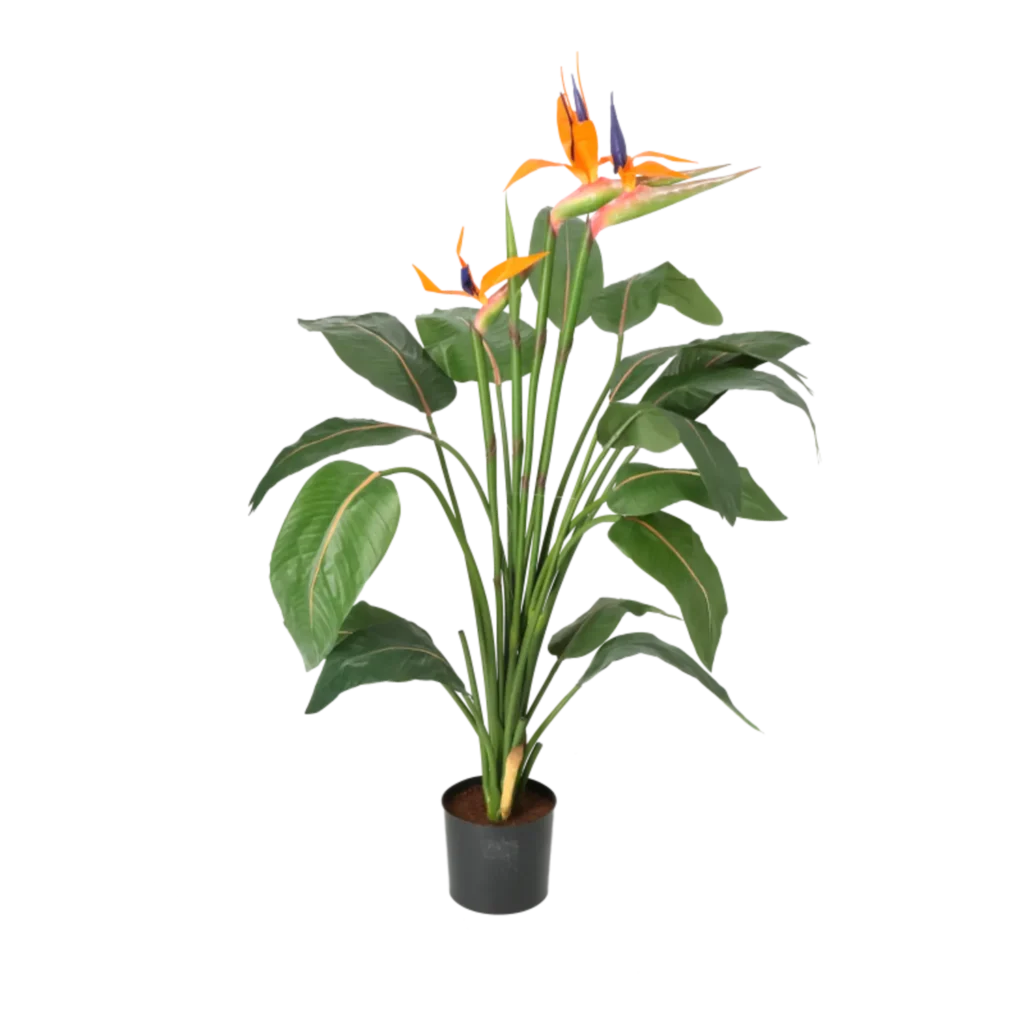 Kunstig Strelitzia m. blomster H: 115 cm.