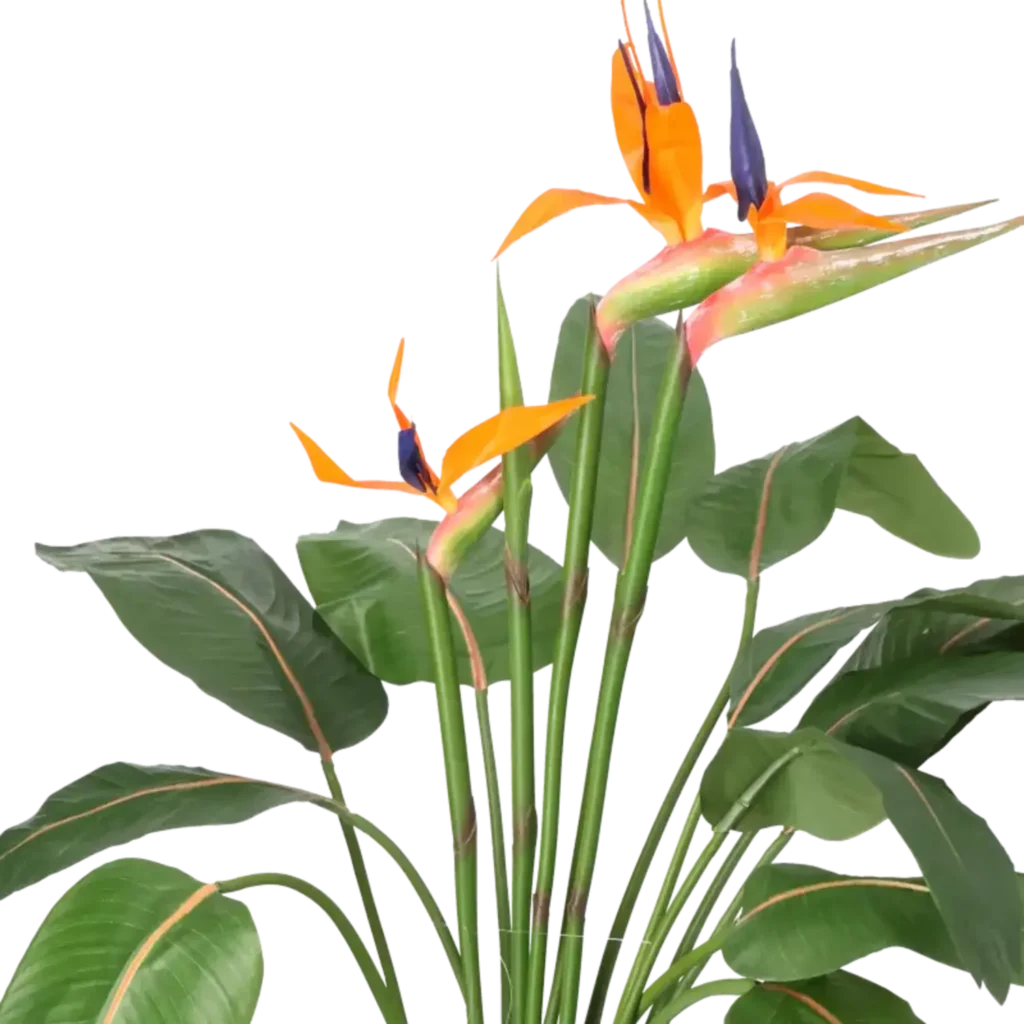 Closeup af Kunstig Strelitzia m. blomster H: 115 cm.
