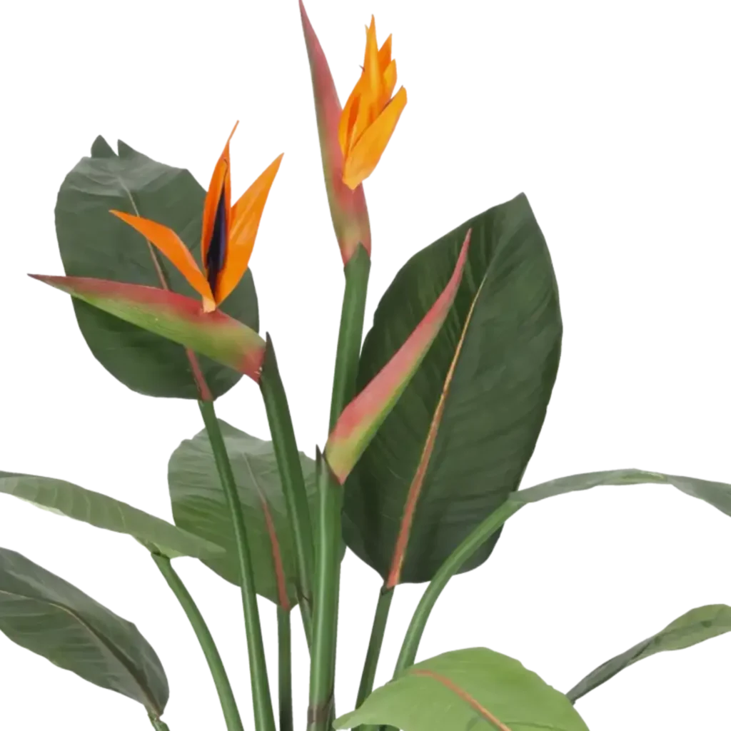 Closeup af Kunstig Strelitzia m. blomster H: 95 cm.
