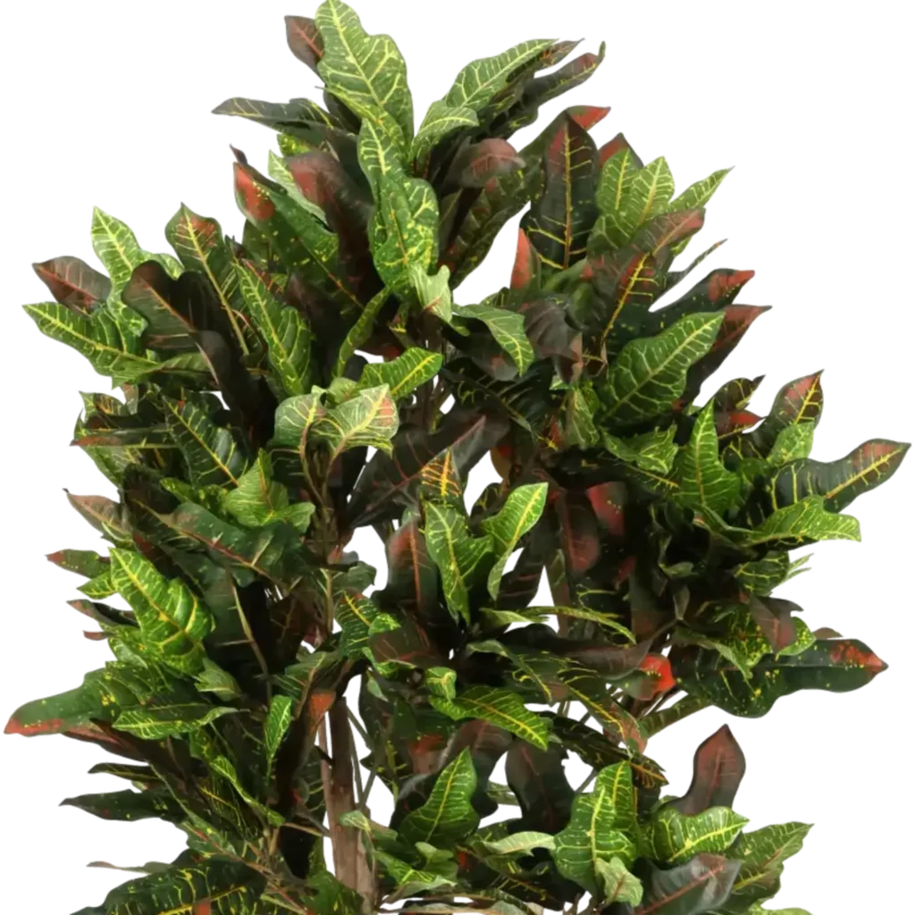 Closeup af Kunstig Croton H: 140 cm.