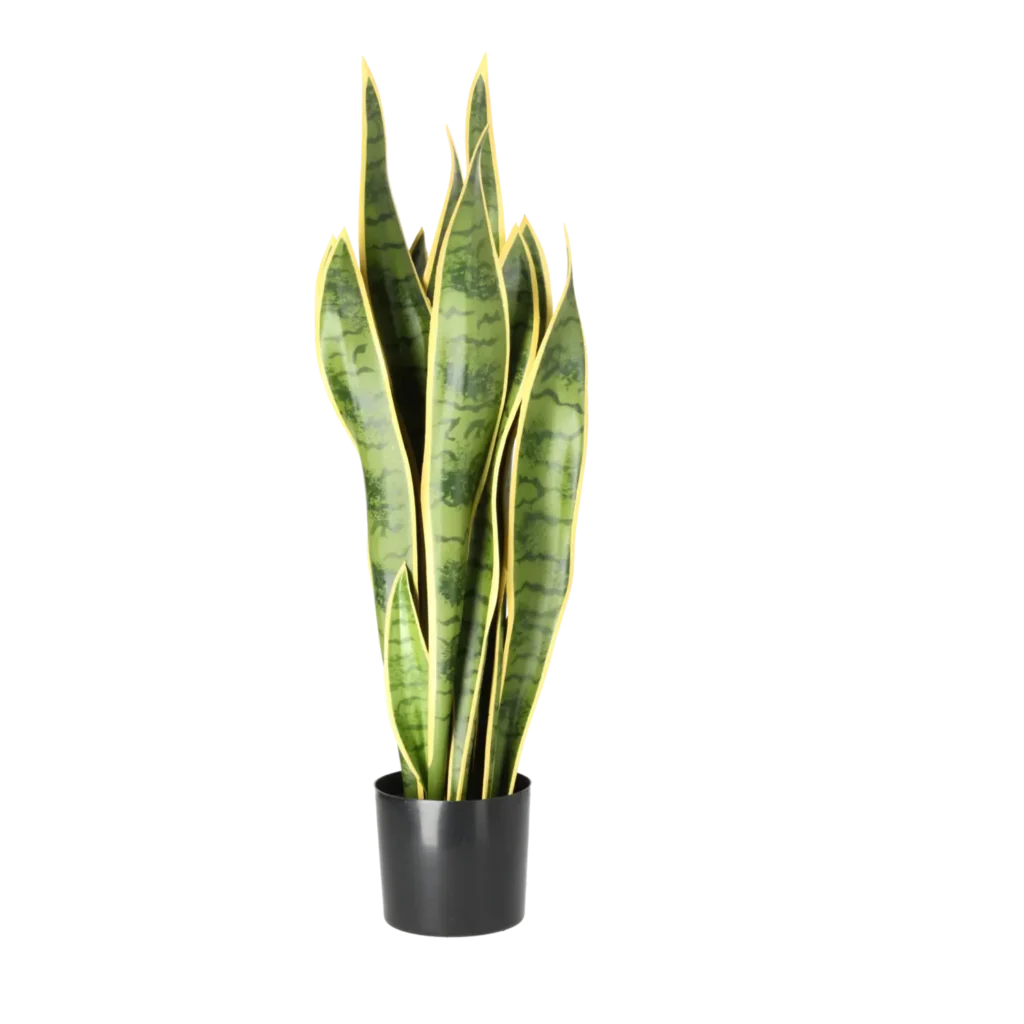 Kunstig Svigermors skarpe tunge H 70 cm.