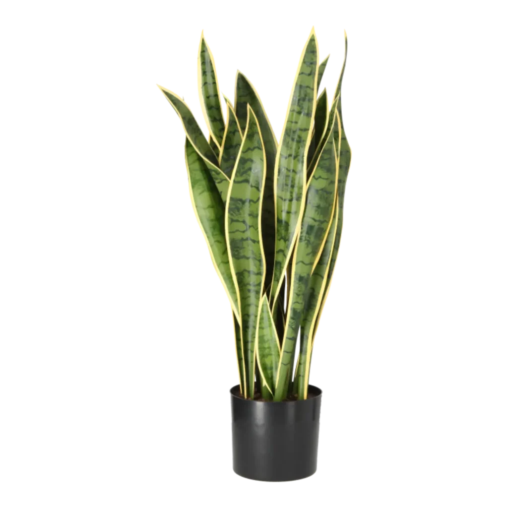 Kunstig Svigermors skarpe tunge H: 80 cm.