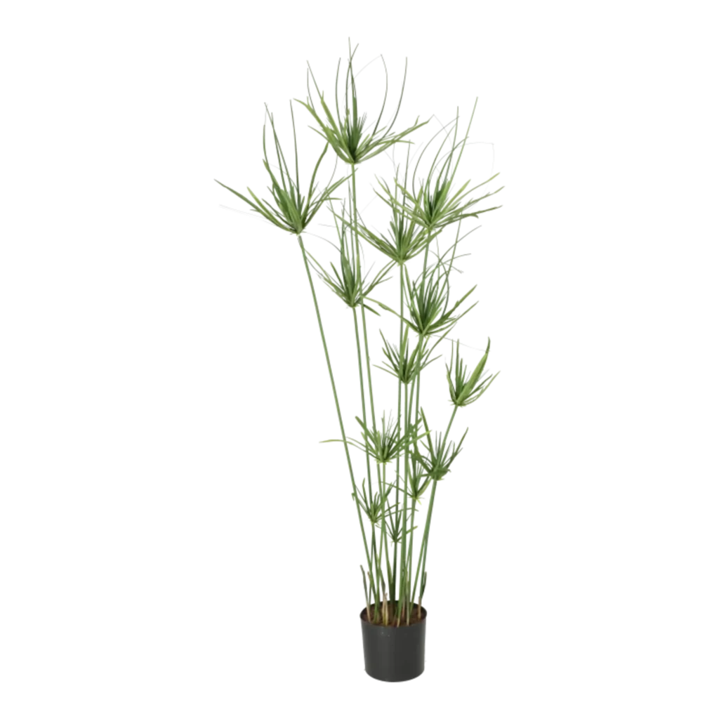 Kunstig Papyrus plante H: 140 cm.
