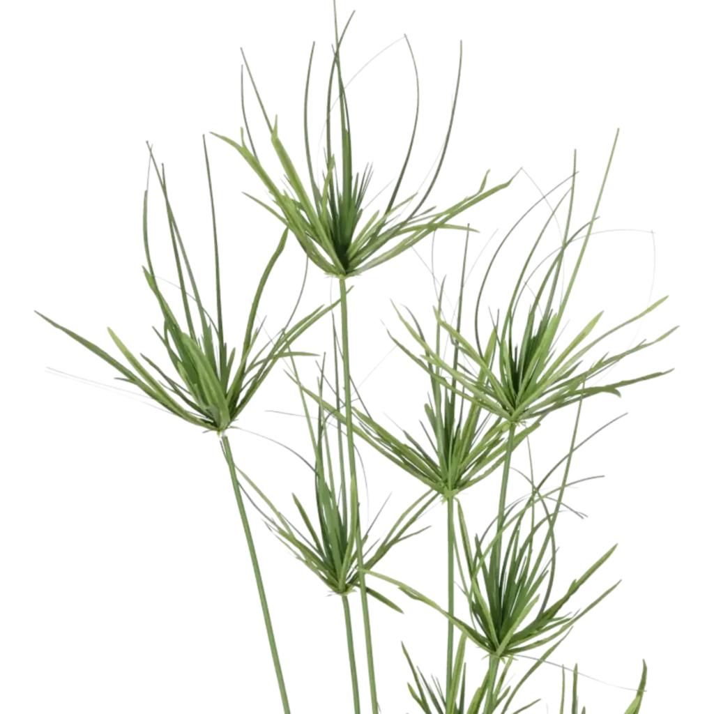 Closeup af Kunstig Papyrus plante H: 140 cm.