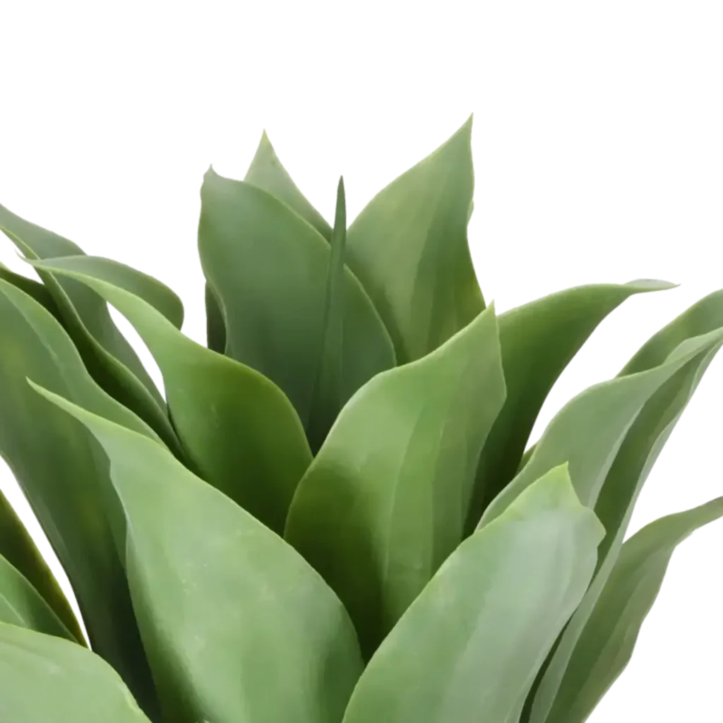 Closeup af Kunstig Giant Agave H 57 cm.