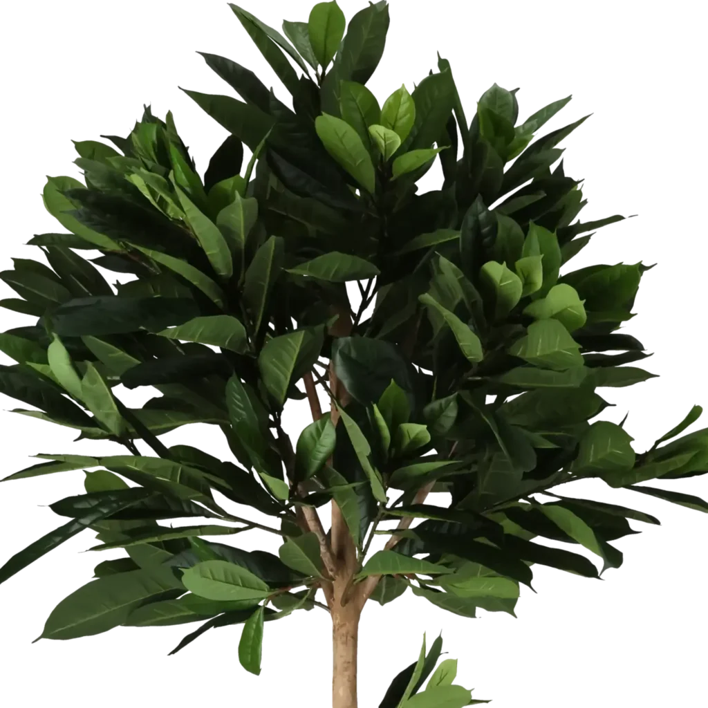 Closeup af Kunstig Ficus Cyathistipula H: 170 cm.