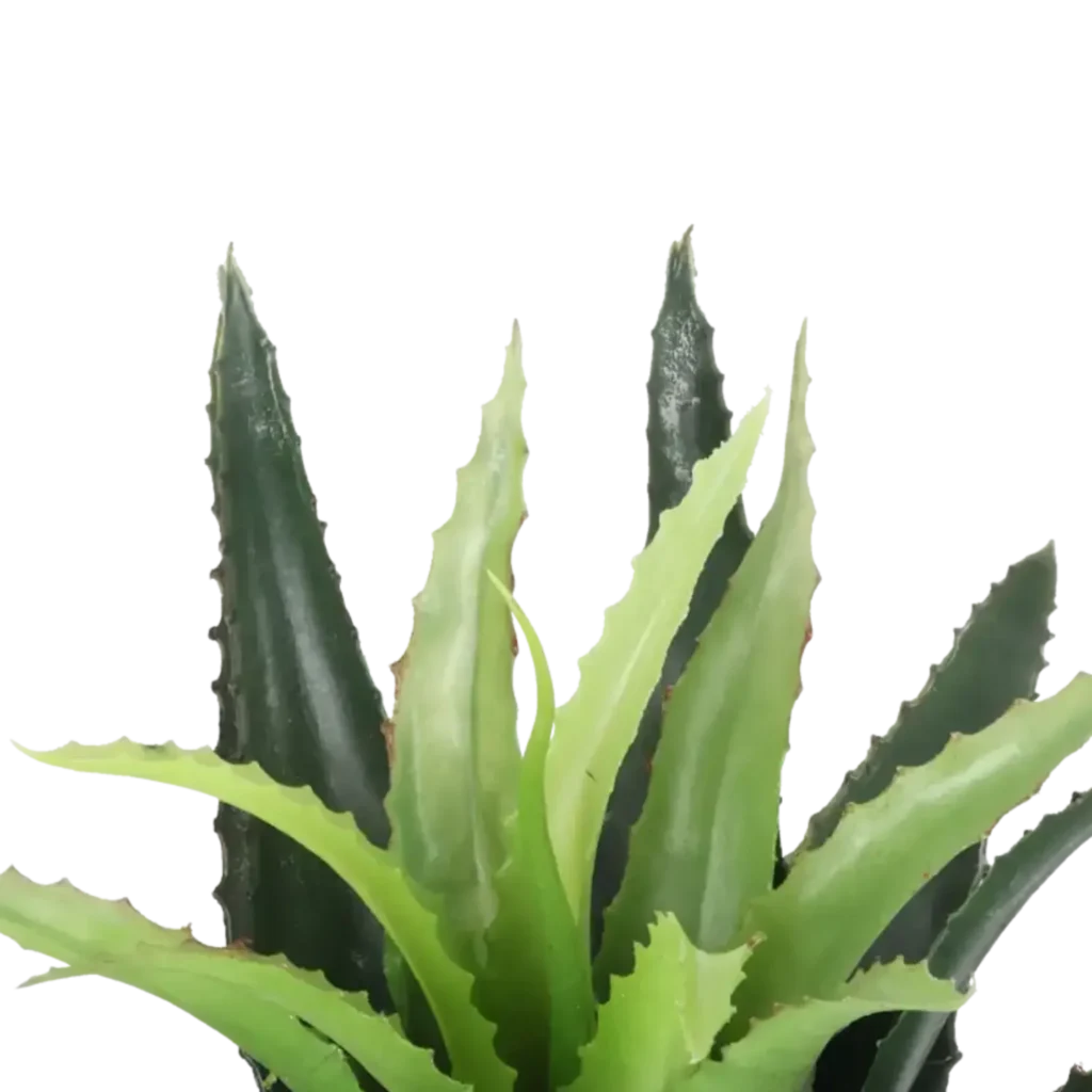 Closeup af Kunstig Agave H: 25 cm.