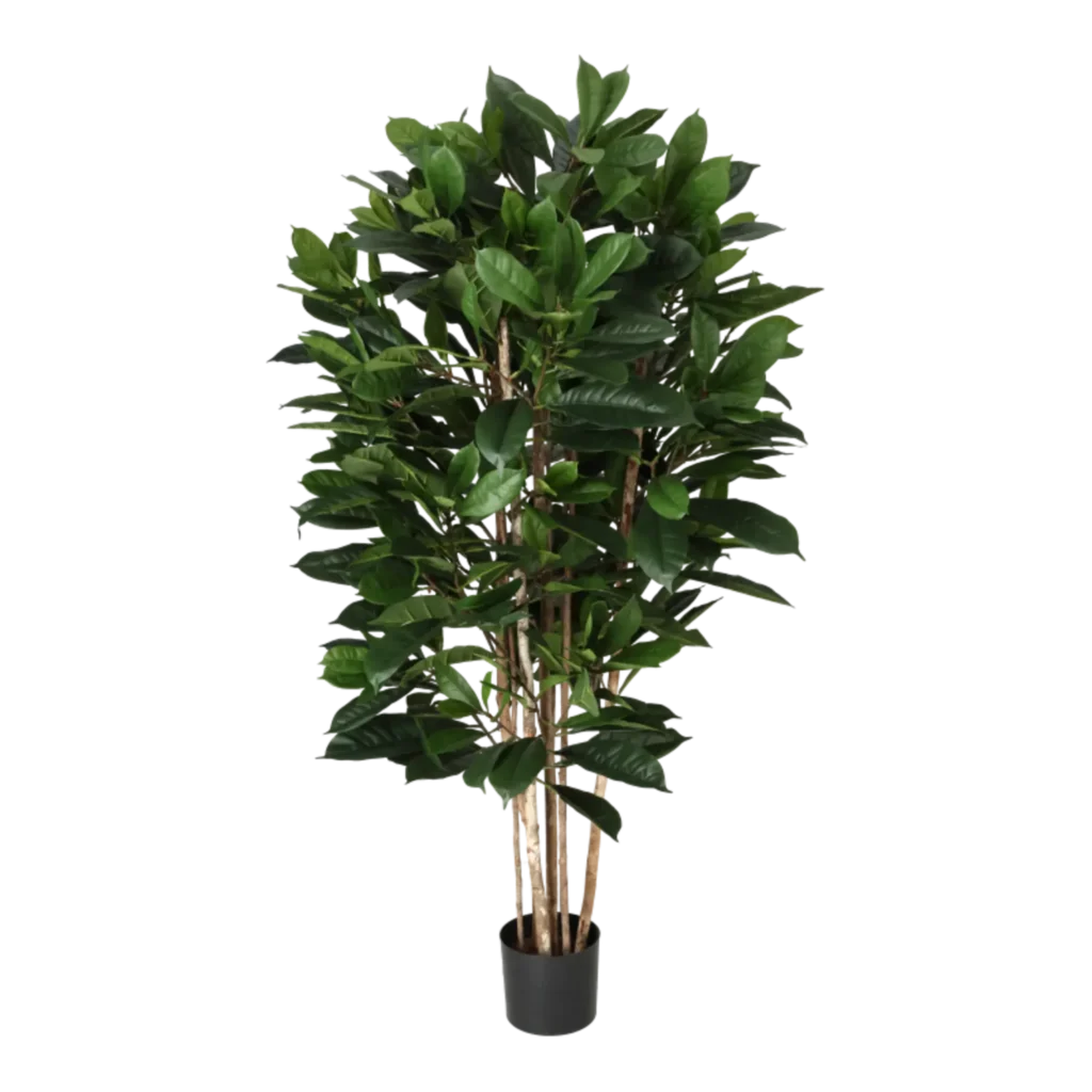 Kunstig Cyathistipula H: 150 cm.