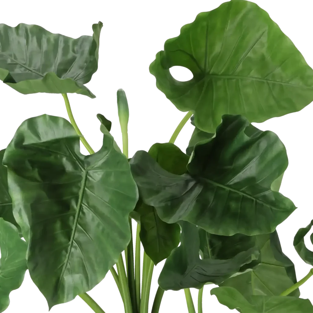 Closeup af Kunstig Alocasia Calidora H: 100 cm.