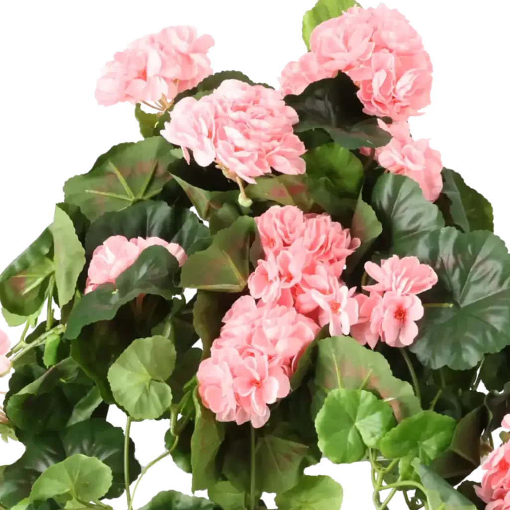Closeup af Kunstig Pelargonie hængeplante L: 65 cm.
