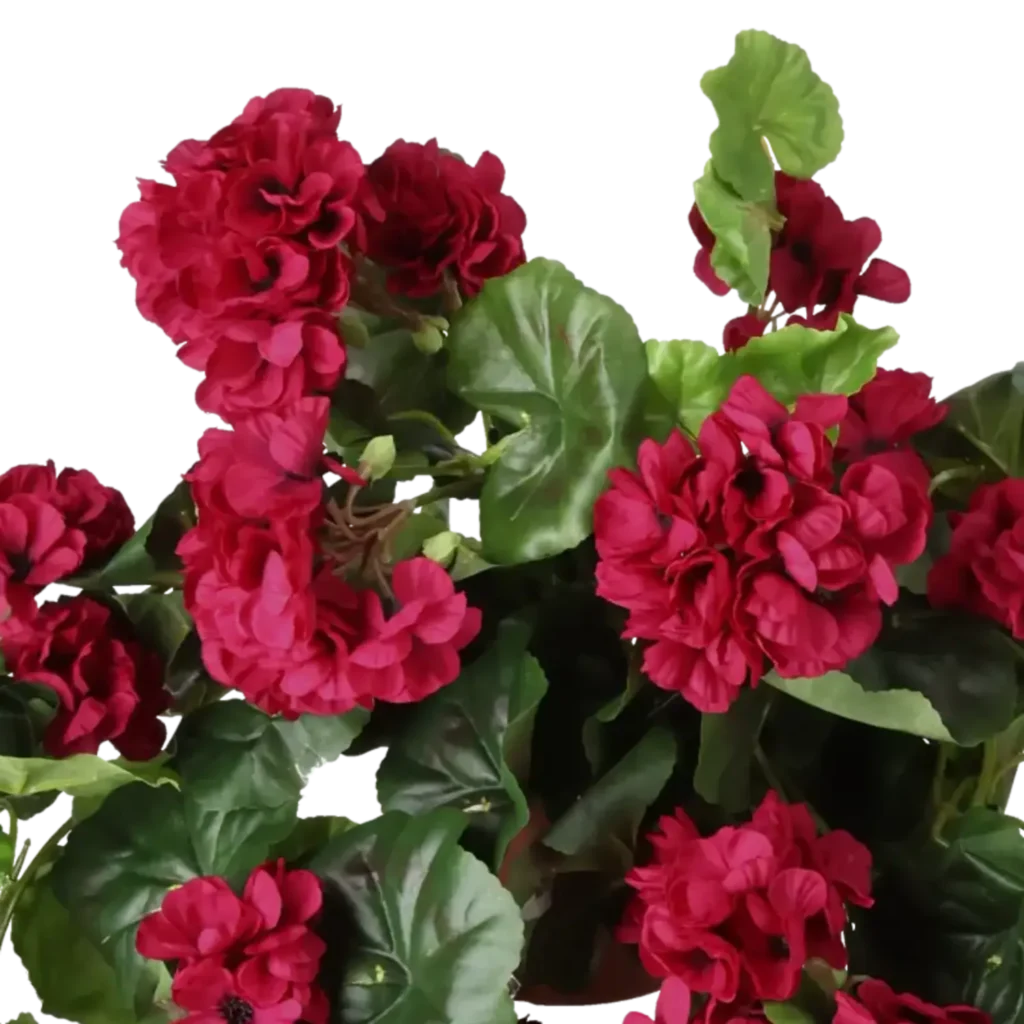 Closeup af Kunstig Pelargonie hængeplante L: 65 cm.