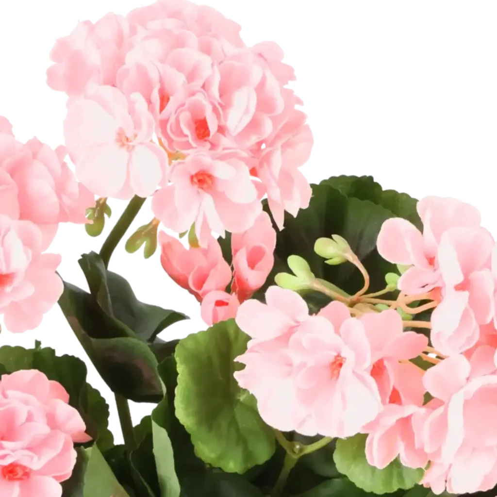 Closeup af Kunstig pelargonie lyserød - H: 35 cm.