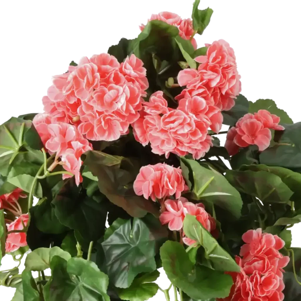 Closeup af Kunstig Pelargonie hængeplante L: 65 cm.