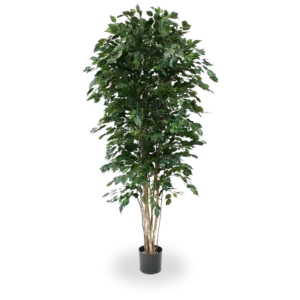Kunstig Ficus Exotica H: 210 cm.