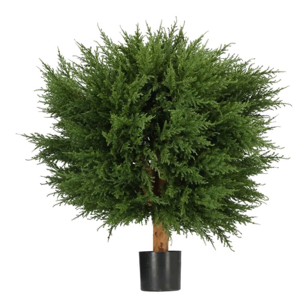 Kunstig Cypres kugle Ø: 50 cm.